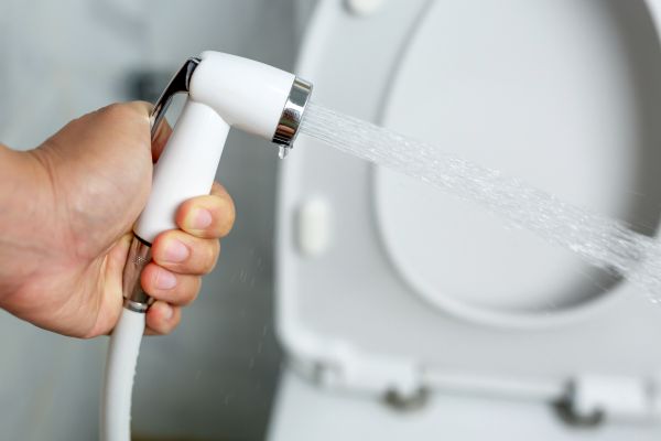Cost of Bidet Installation in Lenoir City