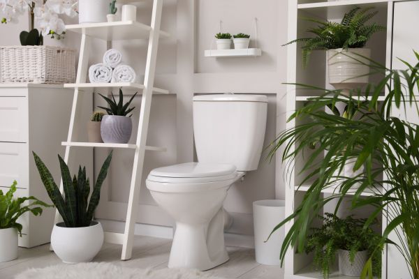 Cost of Toilet Repair in Lenoir City
