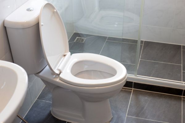 Cost of Toilet Replacement in Lenoir City