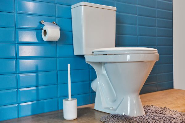 Cost of Toilet Tank Repair in Lenoir City