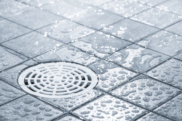 Cost of Shower Drain Repair in Lenoir City