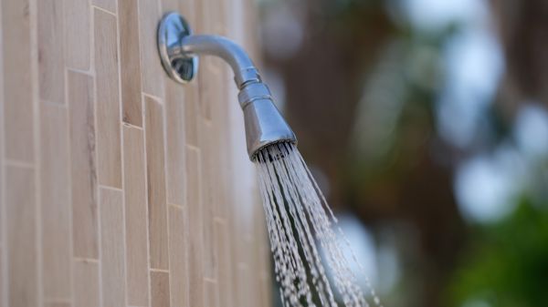 Cost of Showerhead Repair in Lenoir City