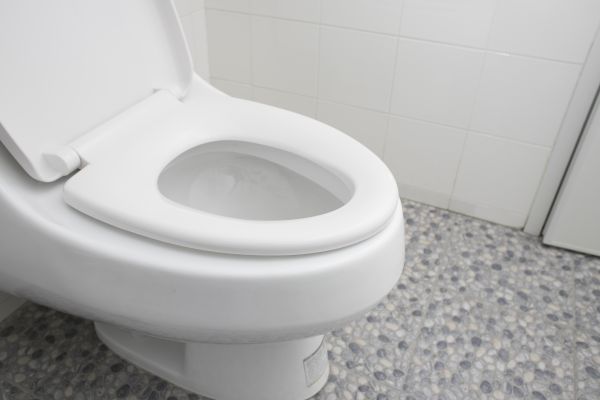 Cost of New Toilet Installation in Lenoir City