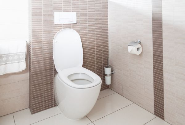 Cost of Toilet Plumbing Installation in Lenoir City